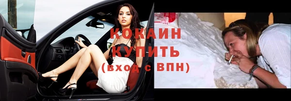 прущие грибы Великий Новгород