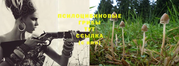 a pvp Алзамай