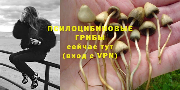 ALPHA-PVP Алексин