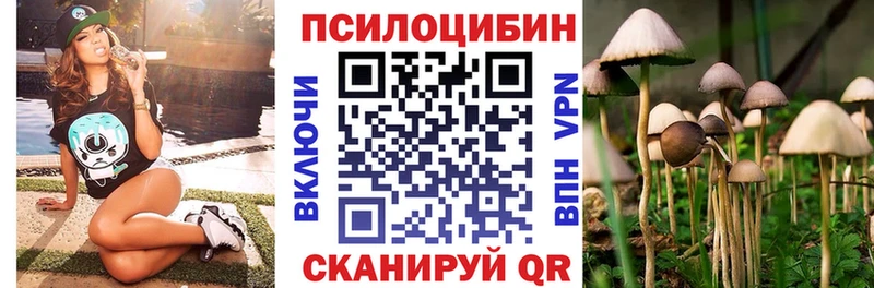 Купить где  Кондрово  Псилоцибиновые грибы мицелий 